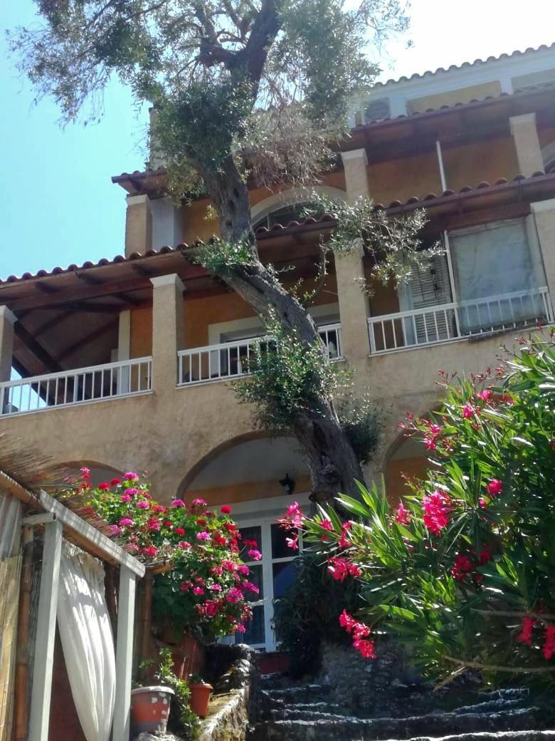 Kohyli Beachfront House Agia Pelagia Chlomou Bagian luar foto